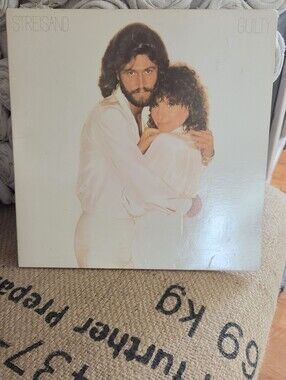 White Decorative Vinyl Record Album Cover - Home Wall Decor